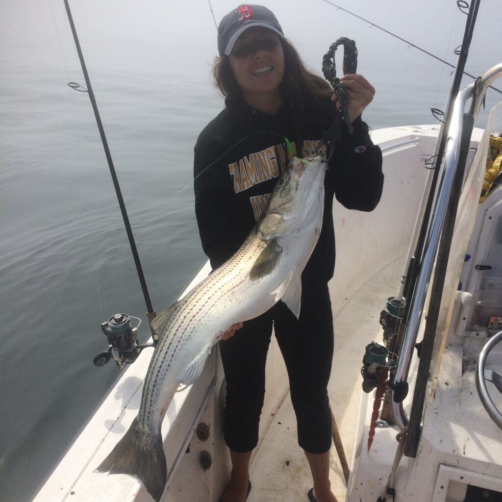 Striped Bass caught charter fishing off Cape Cod