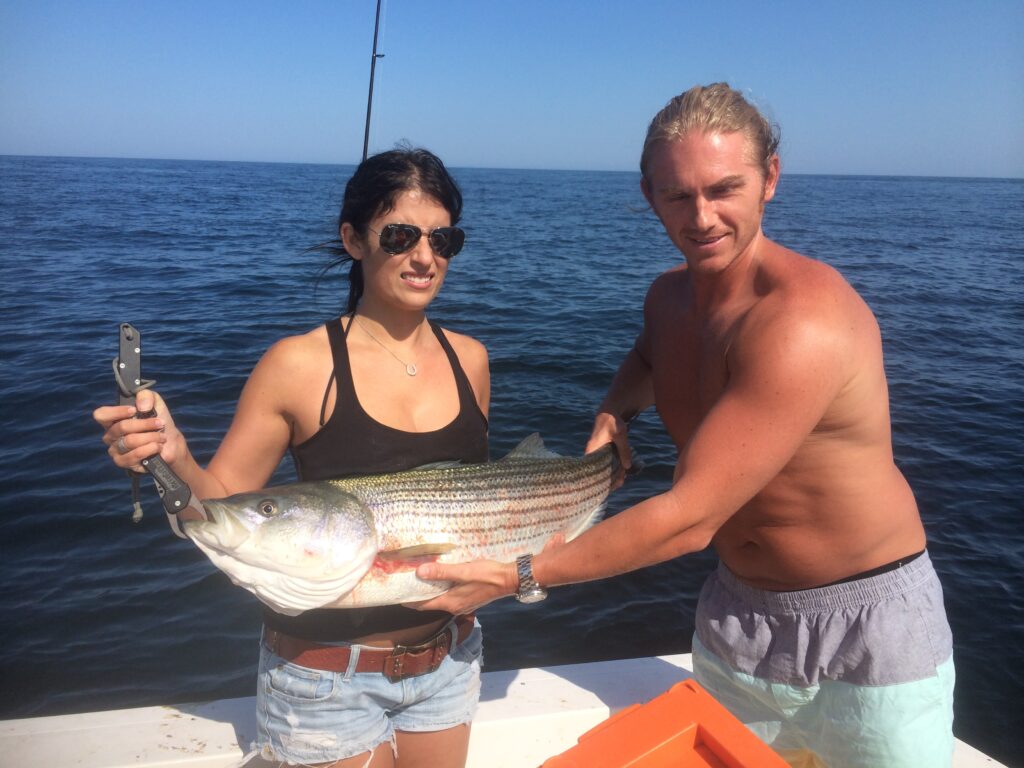 Striped Bass caught charter fishing off Cape Cod